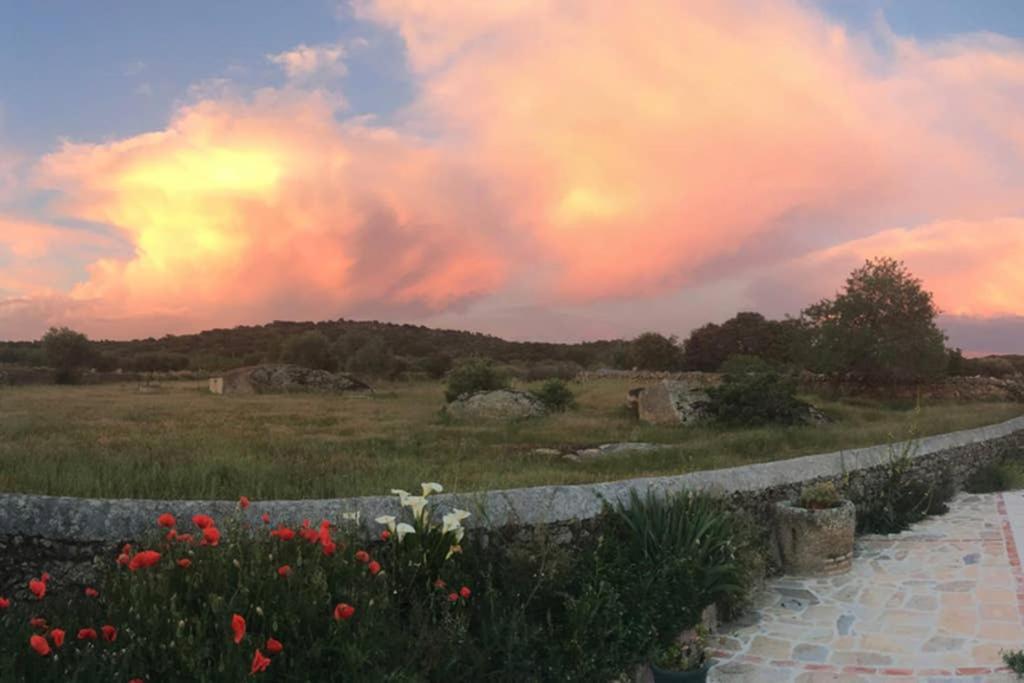 Casa - Apartamento Rural La Tahona Del Abuelo Plasenzuela Εξωτερικό φωτογραφία